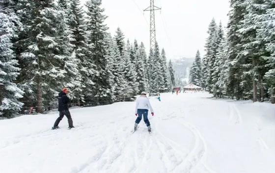 Ilgaz Mountain Resort