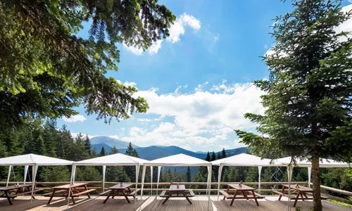 Ilgaz Mountain Resort Hotel